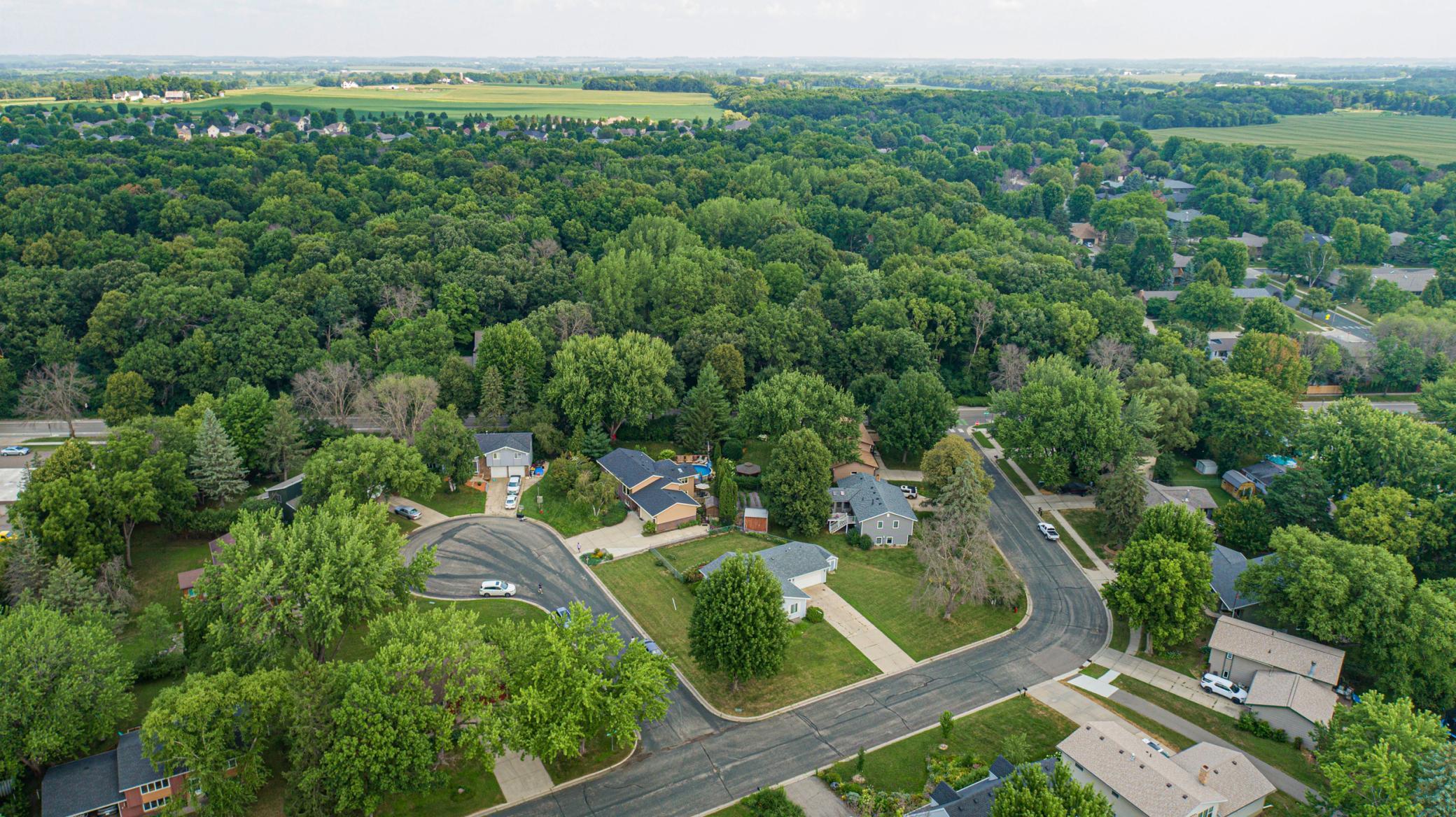 Hauberg woods in back ground