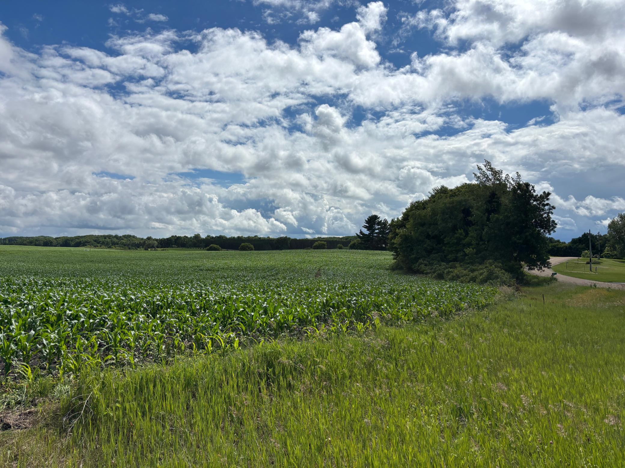 2,5 ACRES RURAL AREA