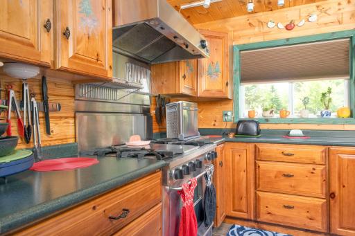 21106 Horsehead Lake Trail, Bigfork, MN 56628