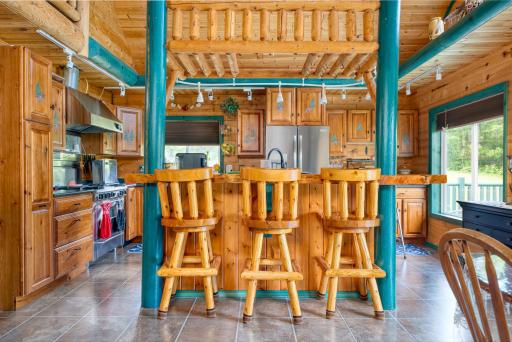 21106 Horsehead Lake Trail, Bigfork, MN 56628