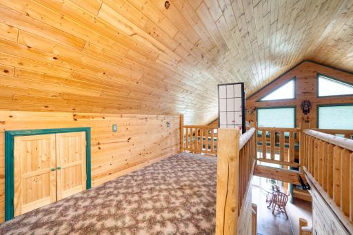 21106 Horsehead Lake Trail, Bigfork, MN 56628