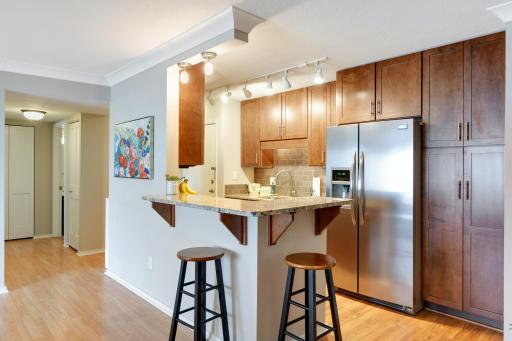 1200 Nicollet Mall, 914, Minneapolis, MN 55403