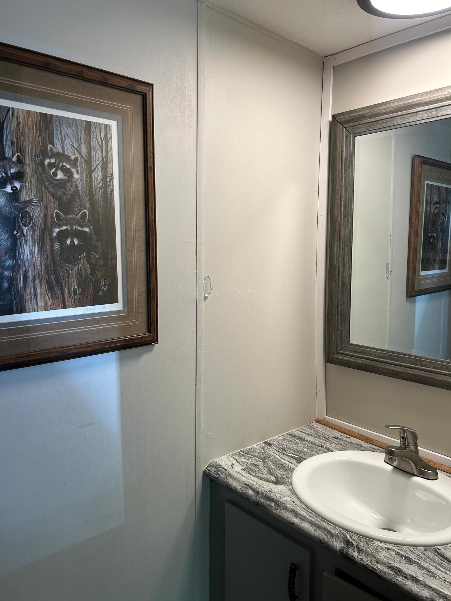 A shot of the half bathroom.