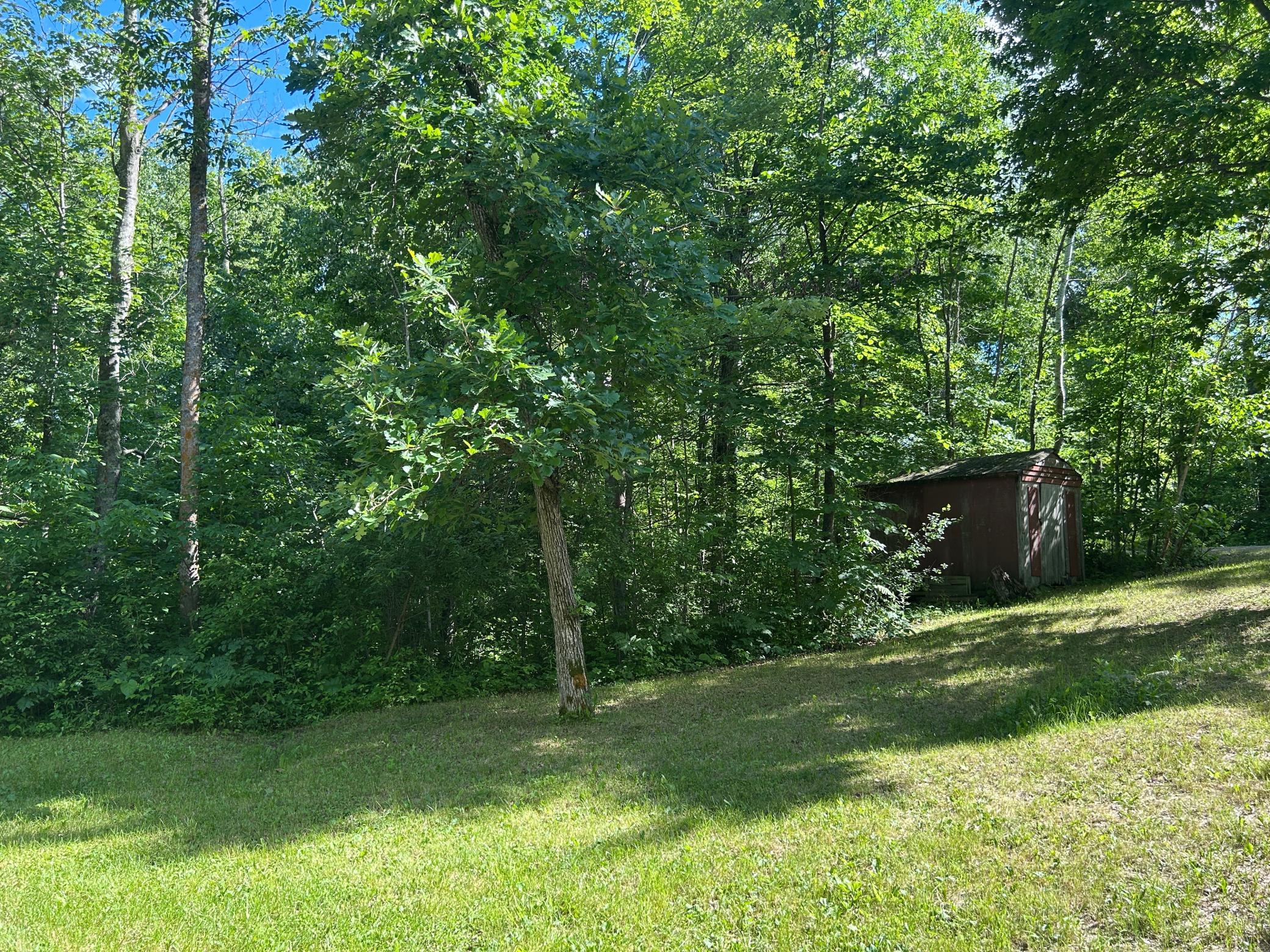 More views of the property's green space, great privacy here!