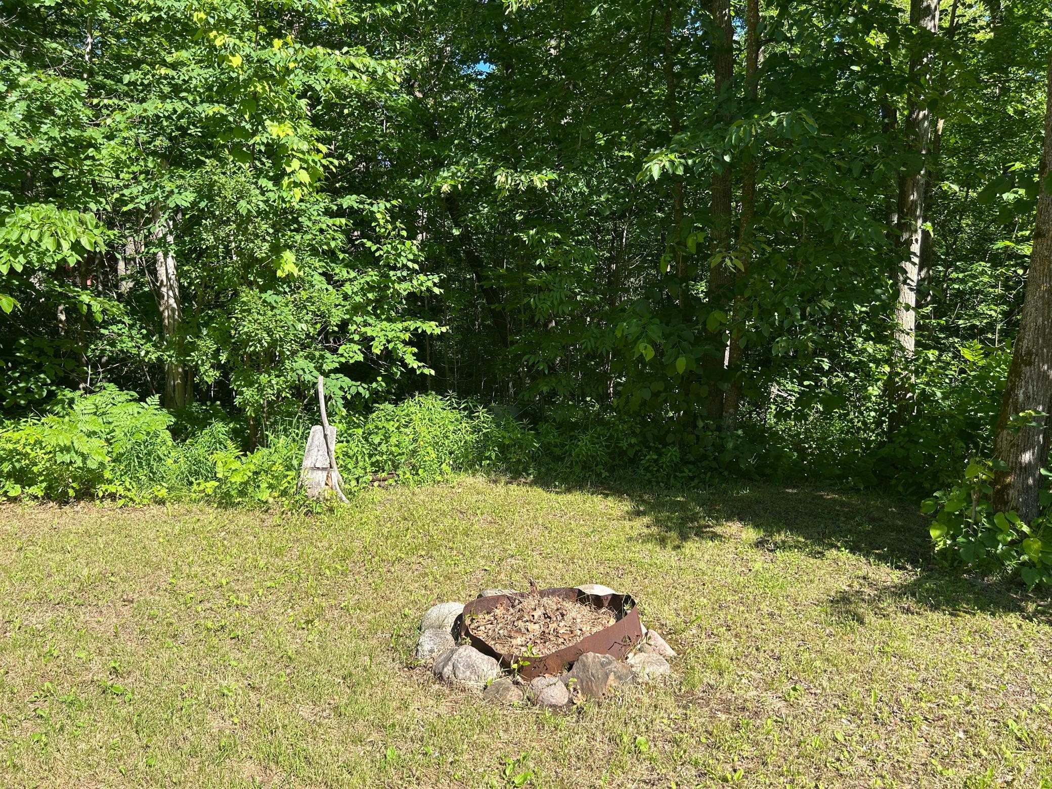 A look at the firepit and the surrounding woods.