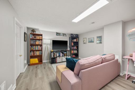 Lower level Family room