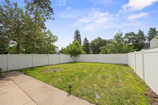 Fully fenced in back yard