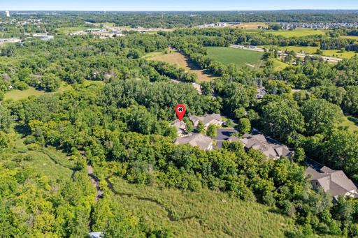 Lush aerial view showing the private townhome enclave bordered by a mature wooded treeline for a truly peaceful, relaxing neighborhood backdrop!