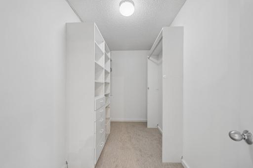 Lower level walk-in closet