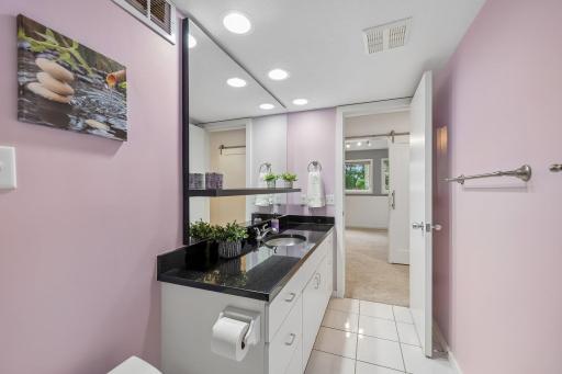 Lower level bathroom
