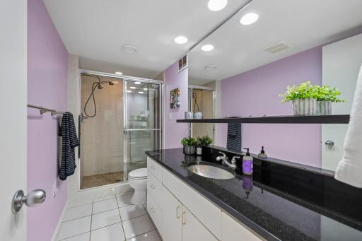 Lower level bathroom