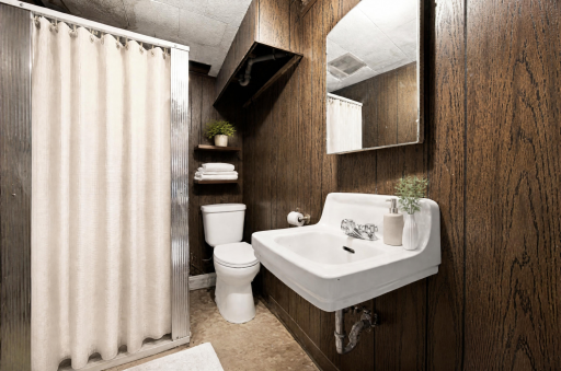 Virtually Staged - Basement Bathroom