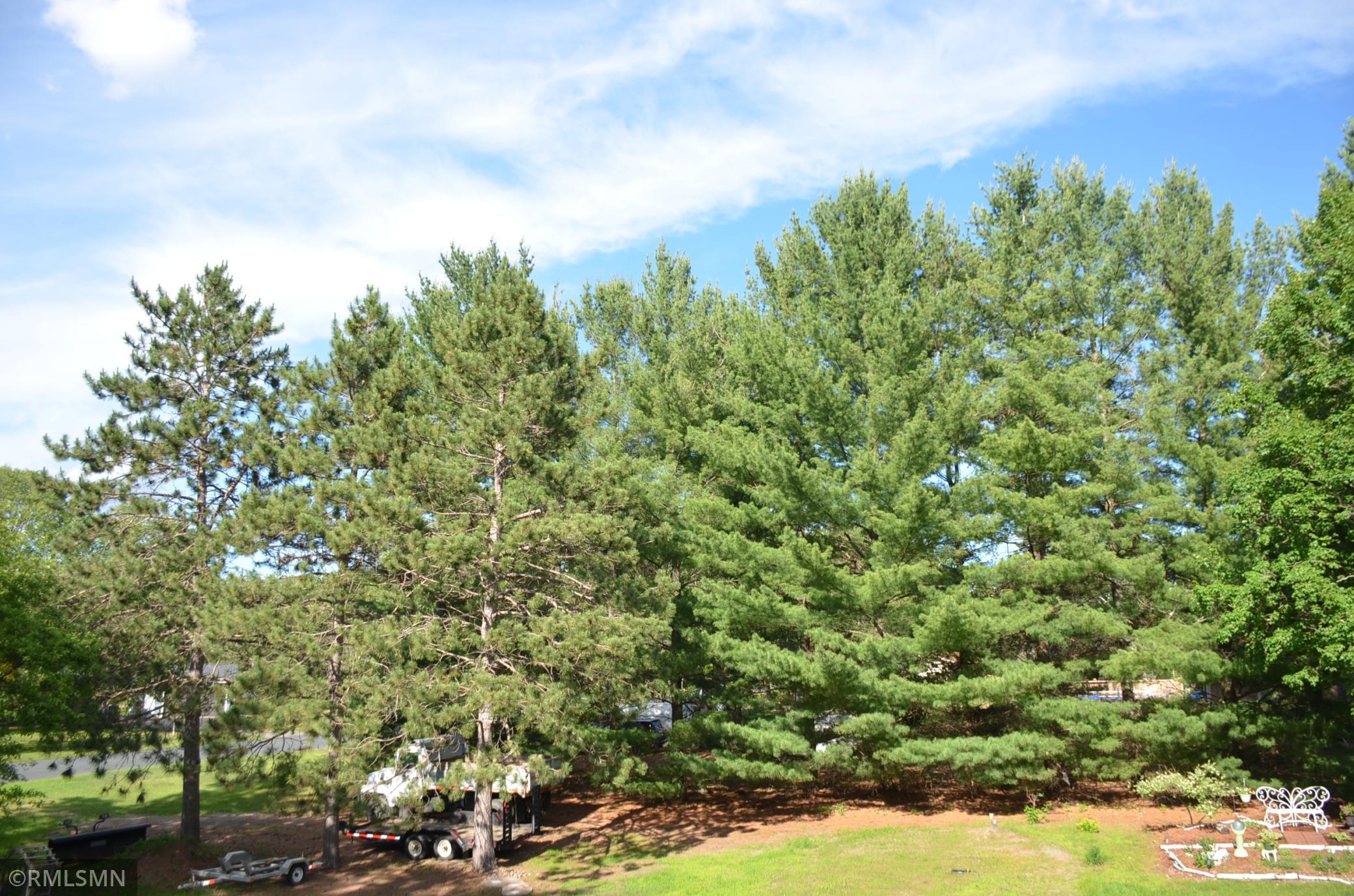 natural fenching for optimal privacy