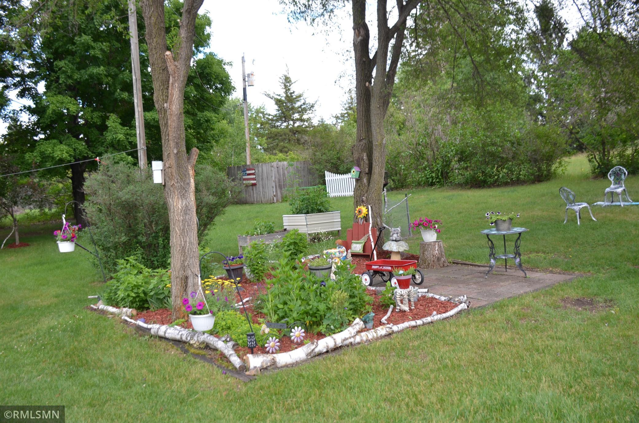 birch garden