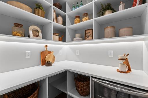 Walk In Pantry