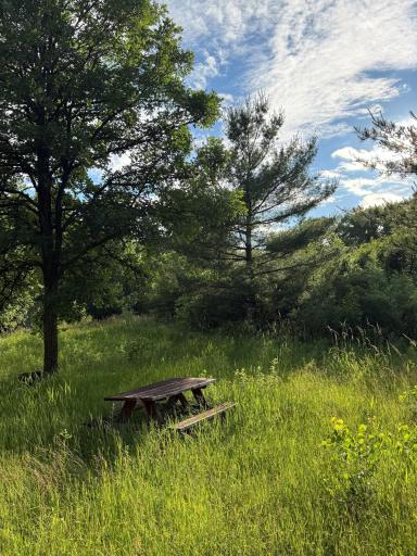 3xxx 100th Avenue, Onamia, MN 56359