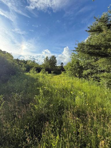 3xxx 100th Avenue, Onamia, MN 56359