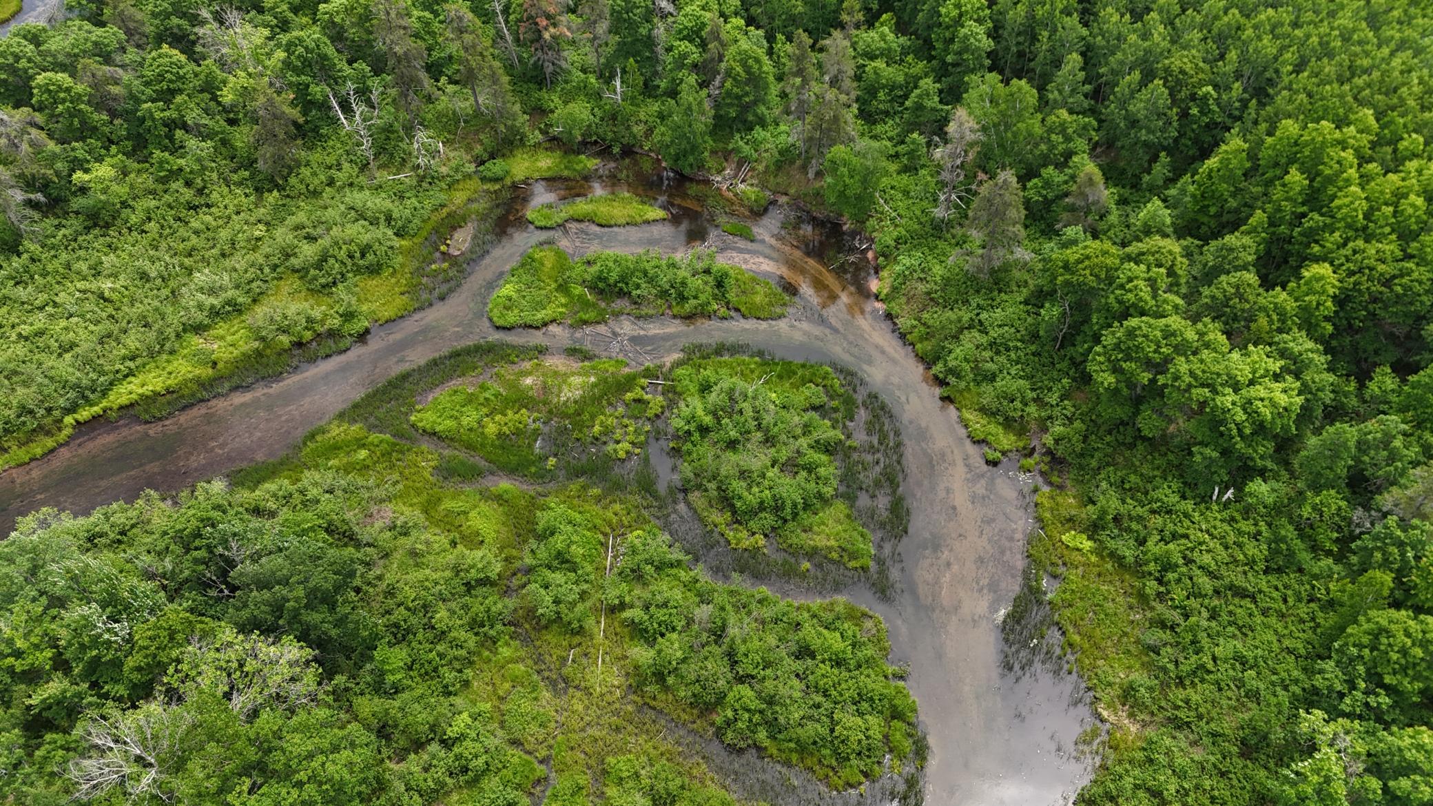 DJI_20260623130518_0691_D.JPG