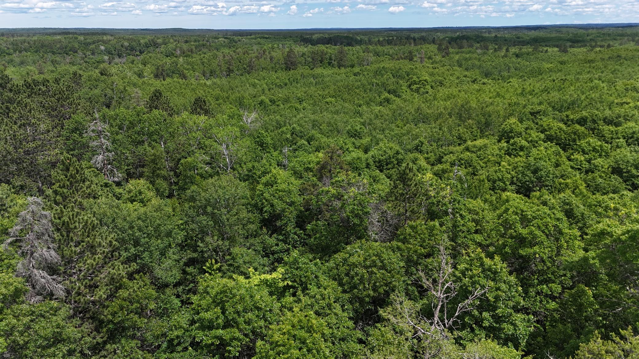 DJI_20260623125406_0660_D.JPG