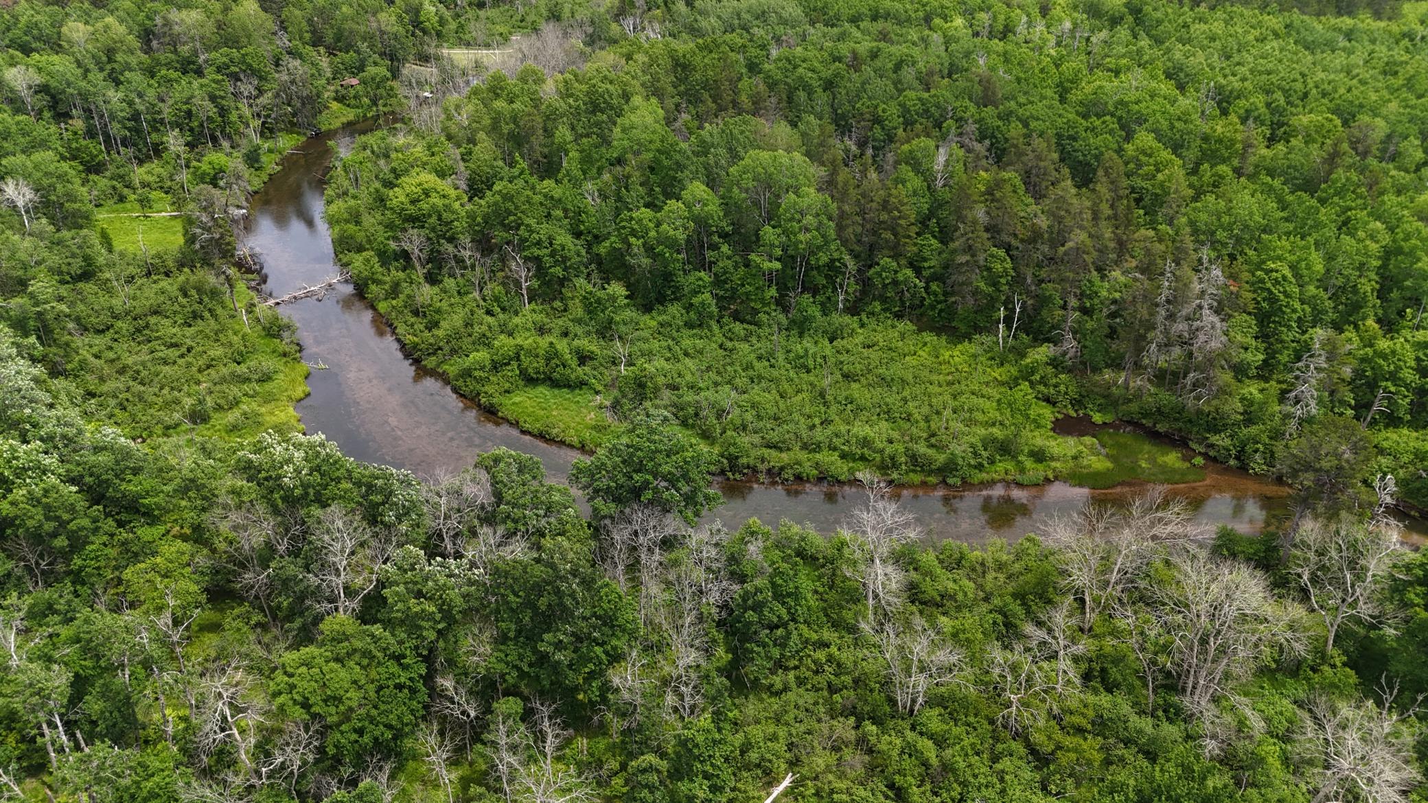 DJI_20260623130003_0676_D.JPG