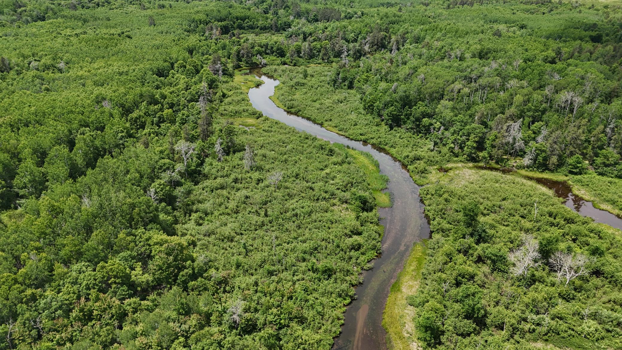 DJI_20260623125602_0665_D.JPG