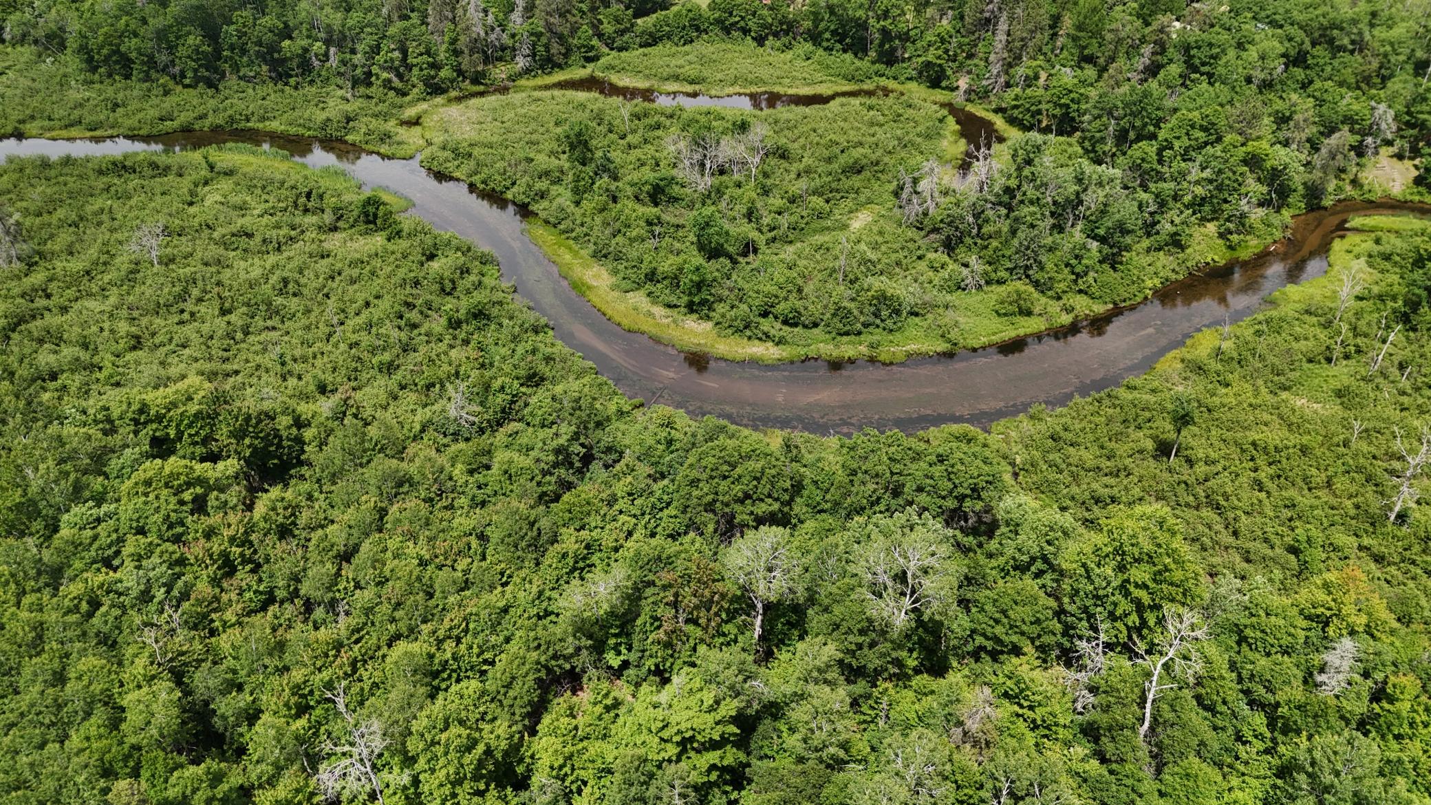 DJI_20260623125544_0664_D.JPG