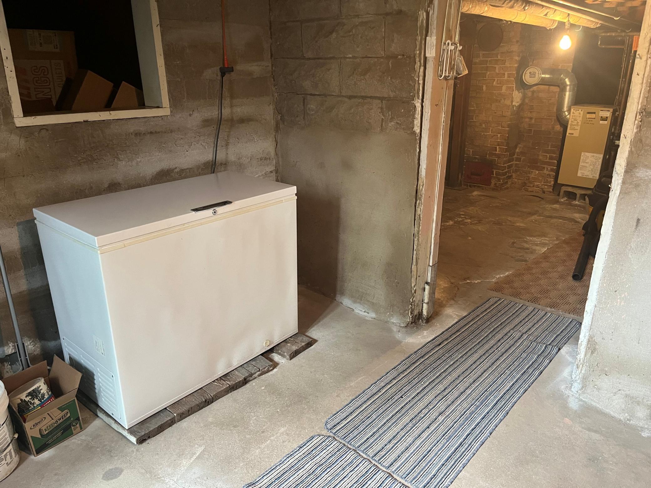 basement freezer.jpg