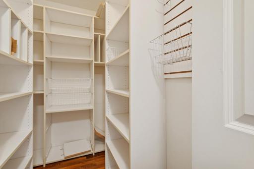 Walk in pantry closet off kitchen
