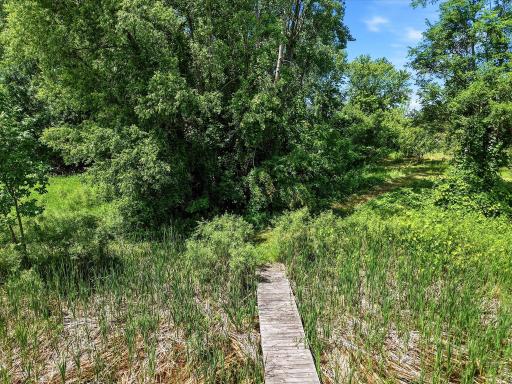 Bridge over wetland on East end of property to current seller's backyard