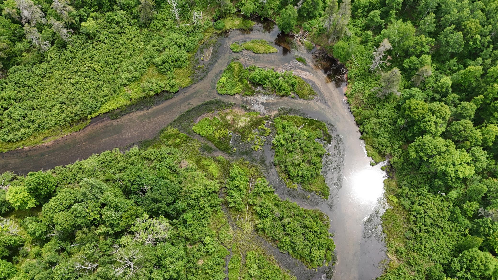 DJI_20260623130501_0690_D.JPG