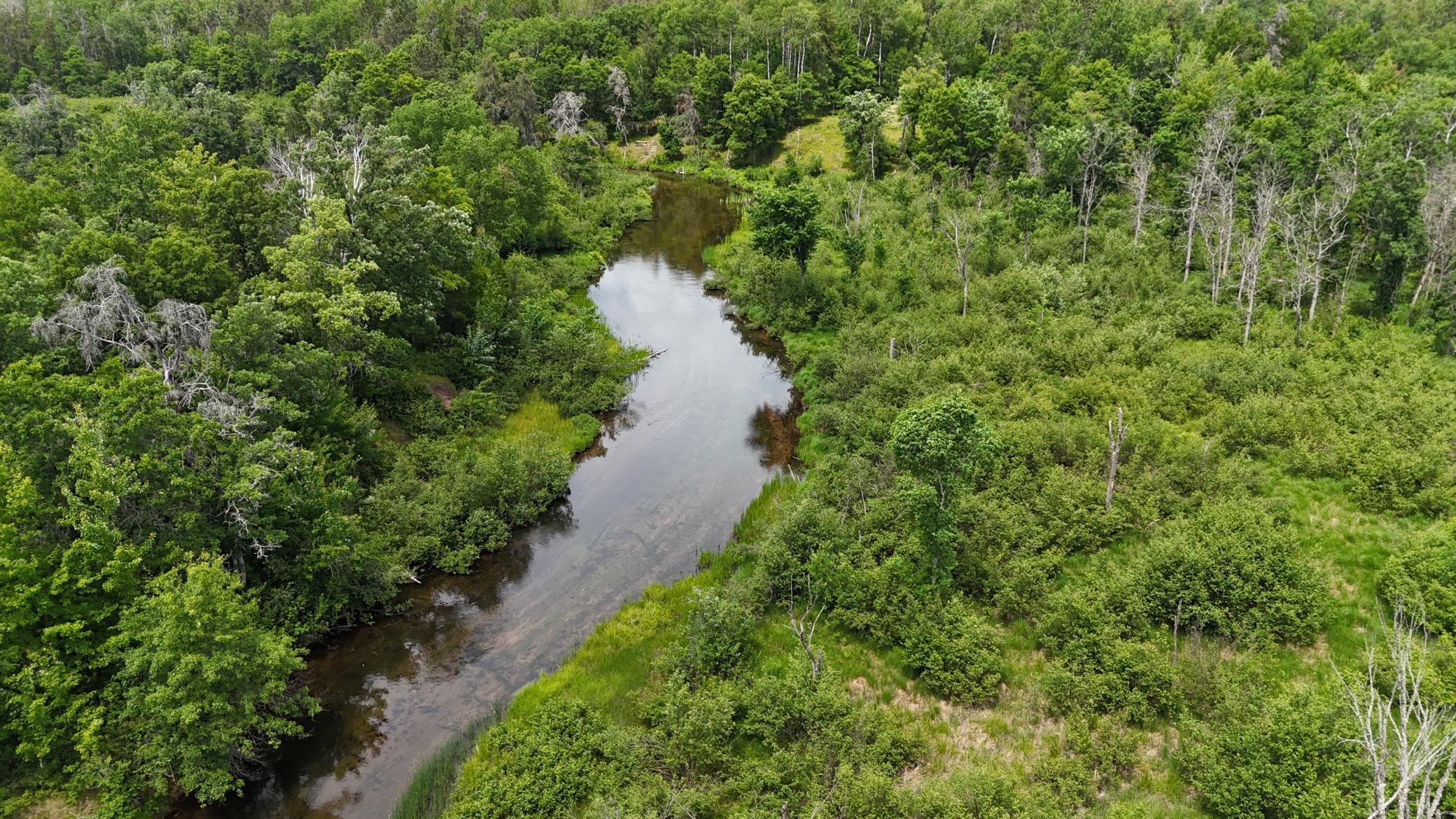 DJI_20260623125834_0672_D.JPG