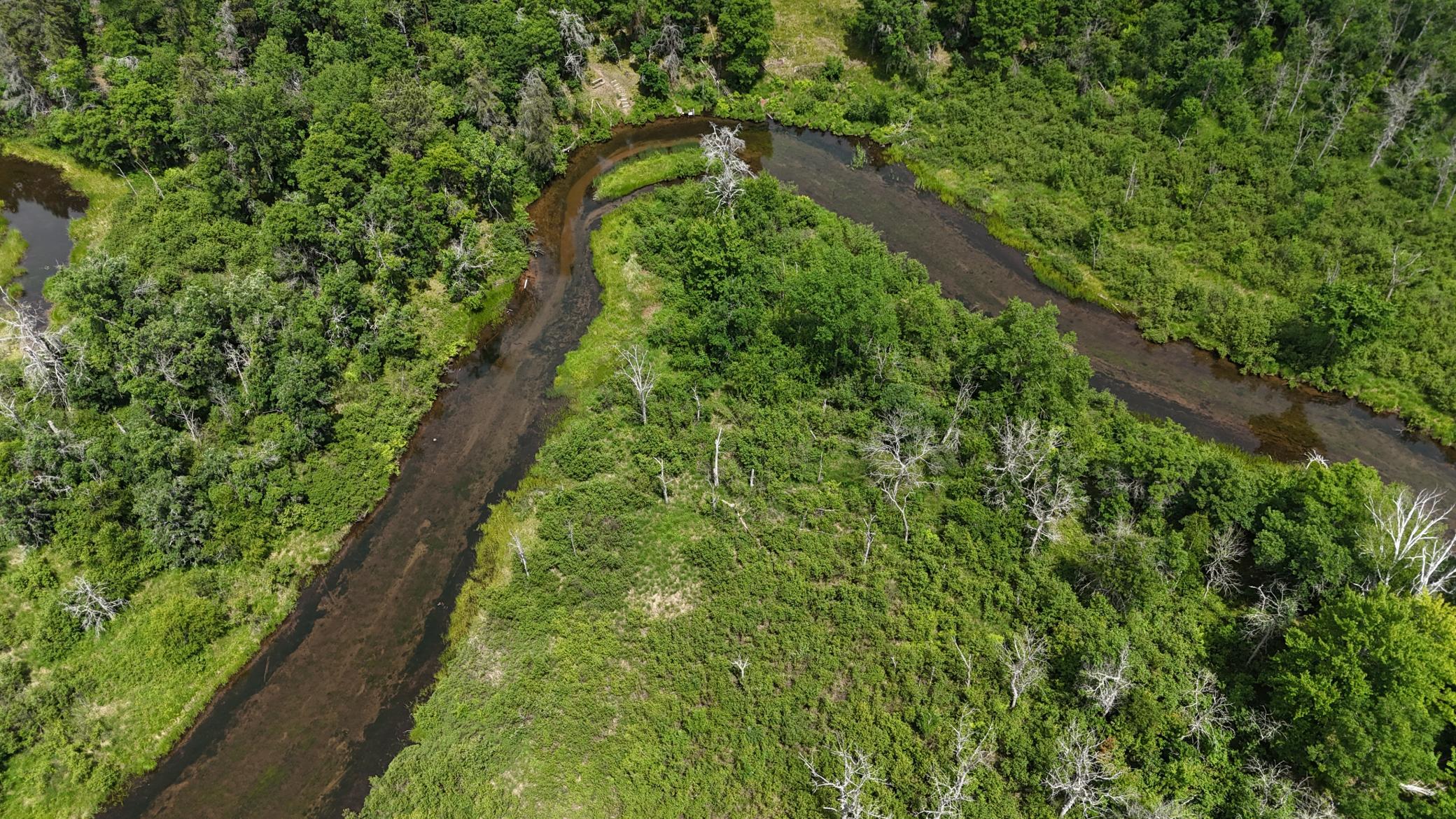 DJI_20260623125608_0666_D.JPG