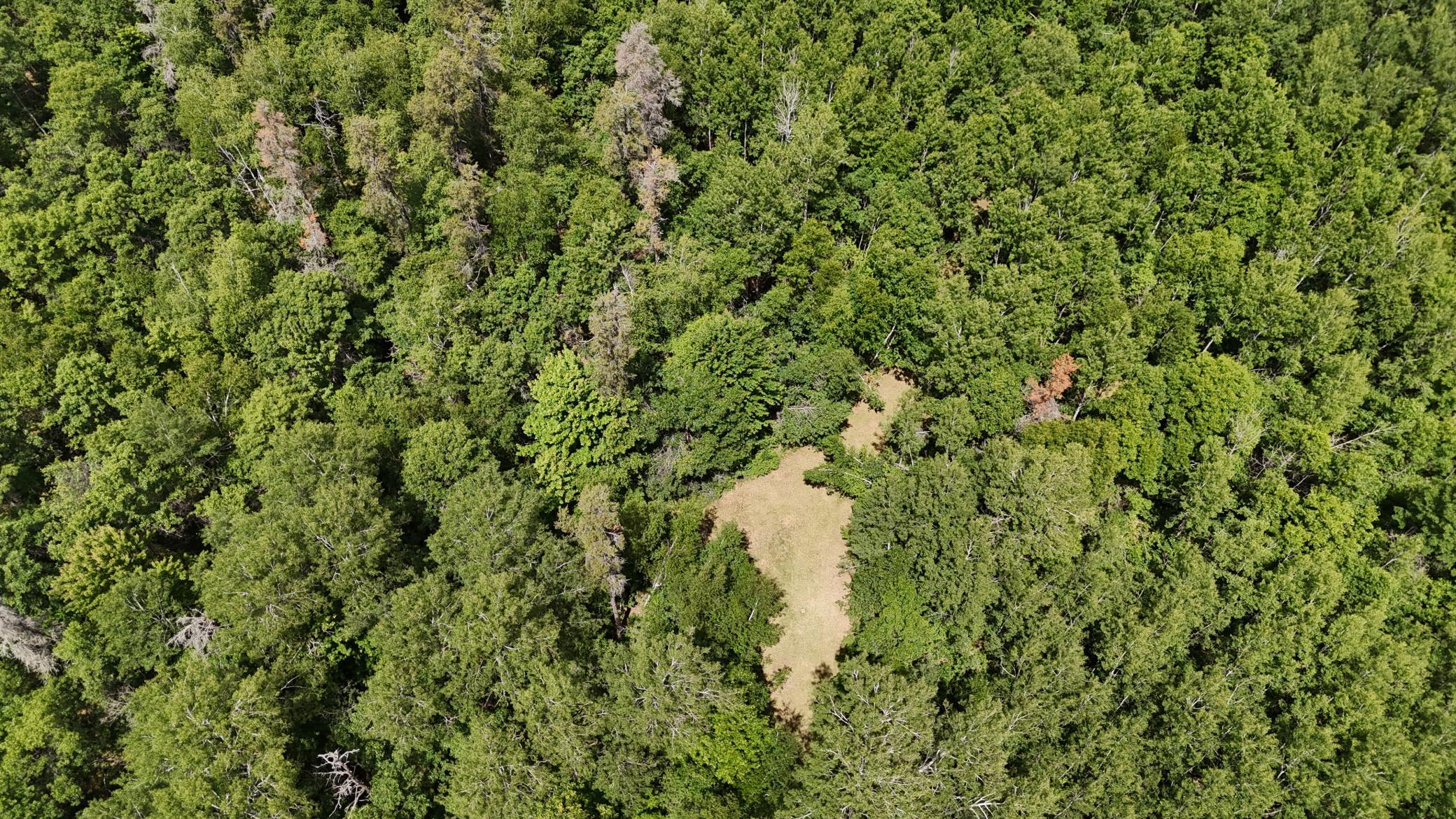 DJI_20260623125524_0663_D.JPG