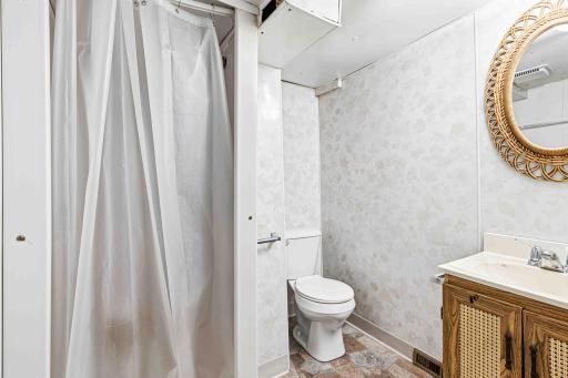 Basement Bathroom