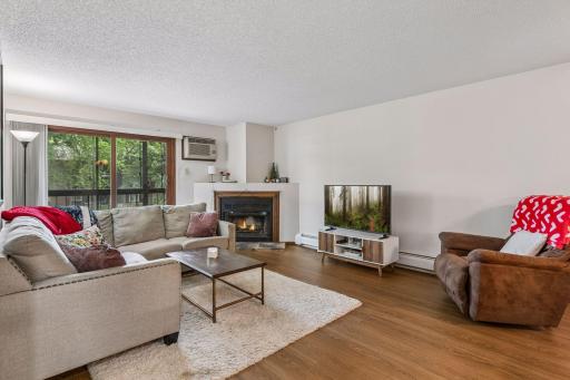 3850 Plymouth Boulevard, 205, Minneapolis, MN 55446