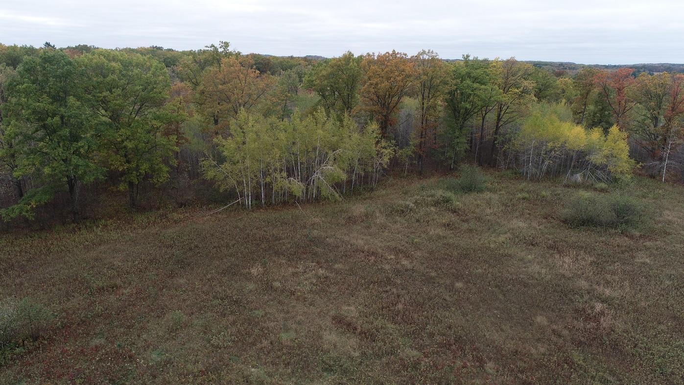 DJI_0013.JPG