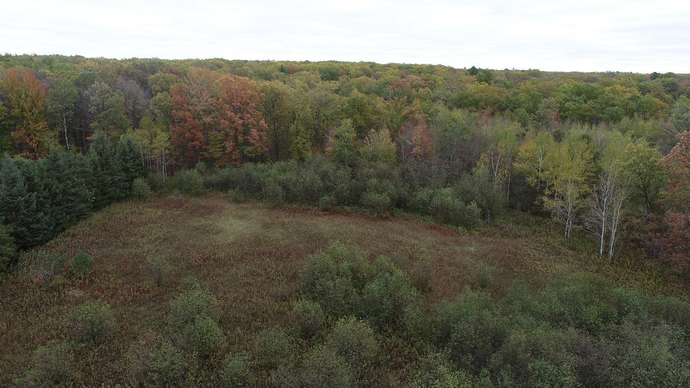 DJI_0003.JPG
