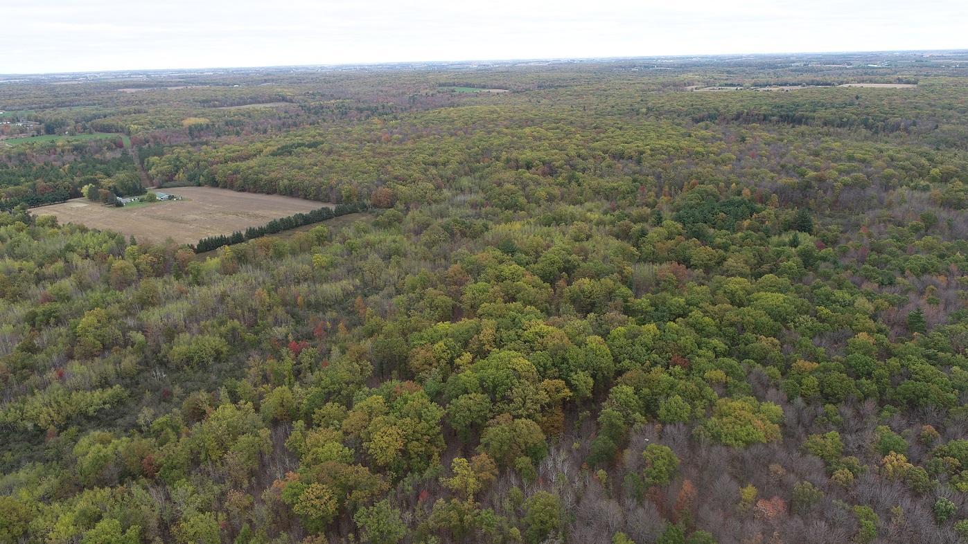 DJI_0010.JPG