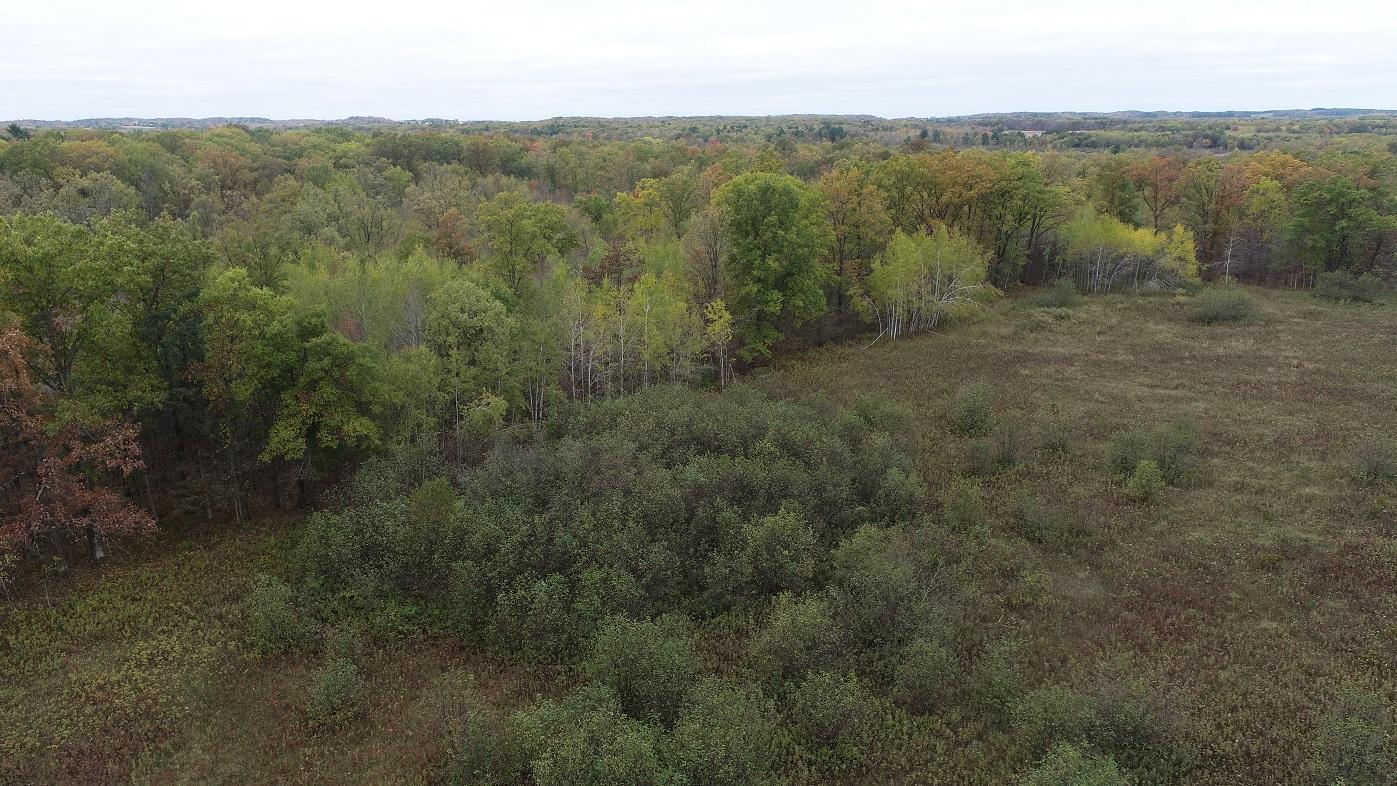 DJI_0004.JPG