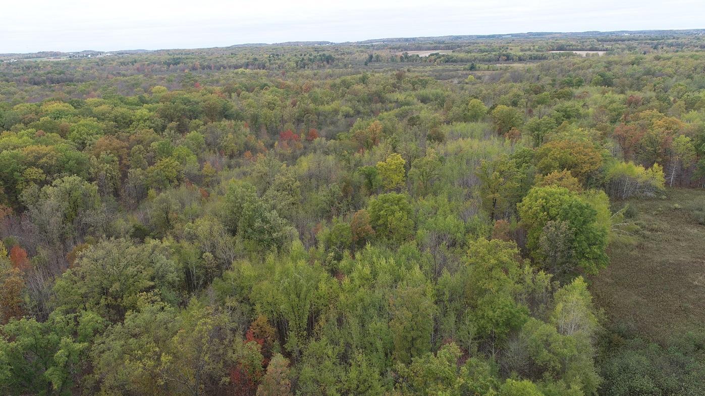 DJI_0006.JPG