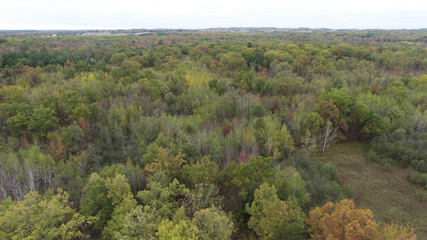 DJI_0005.JPG
