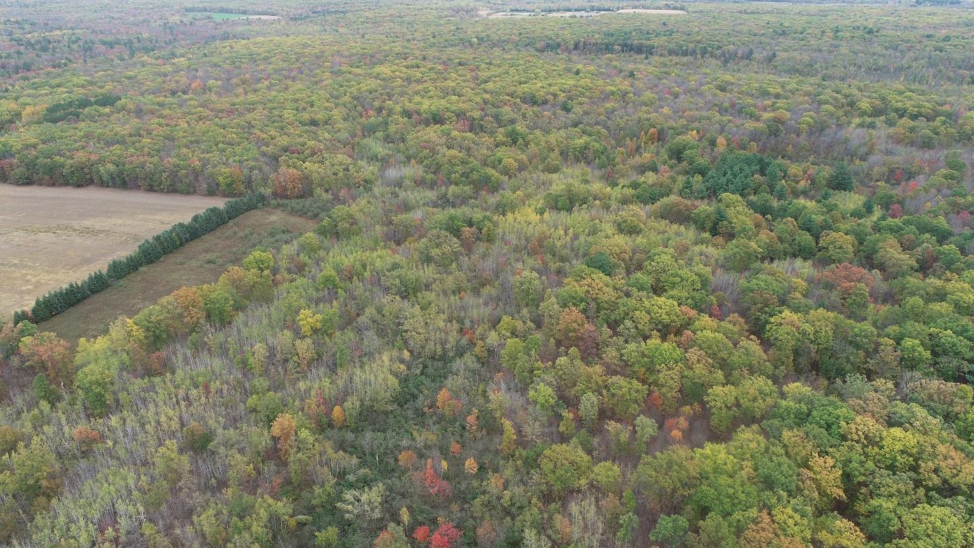 DJI_0008.JPG