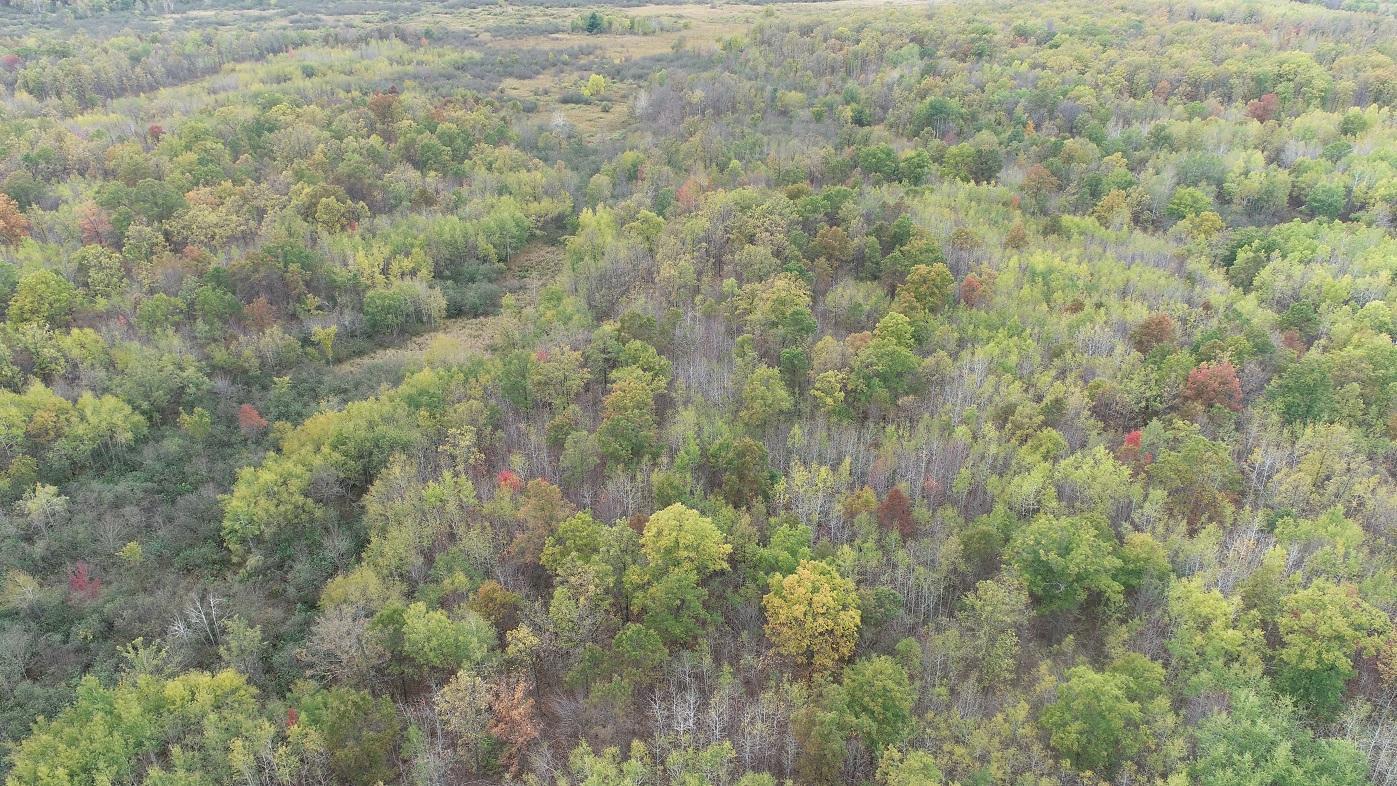 DJI_0007.JPG