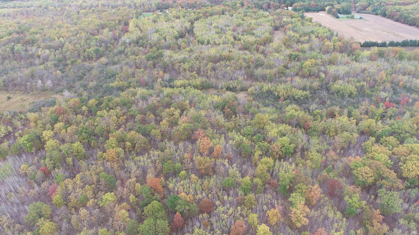 DJI_0009.JPG