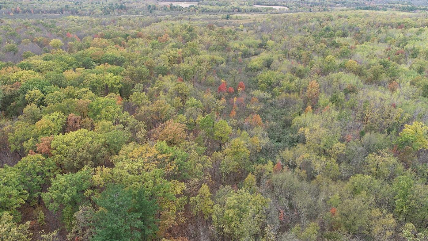 DJI_0012.JPG