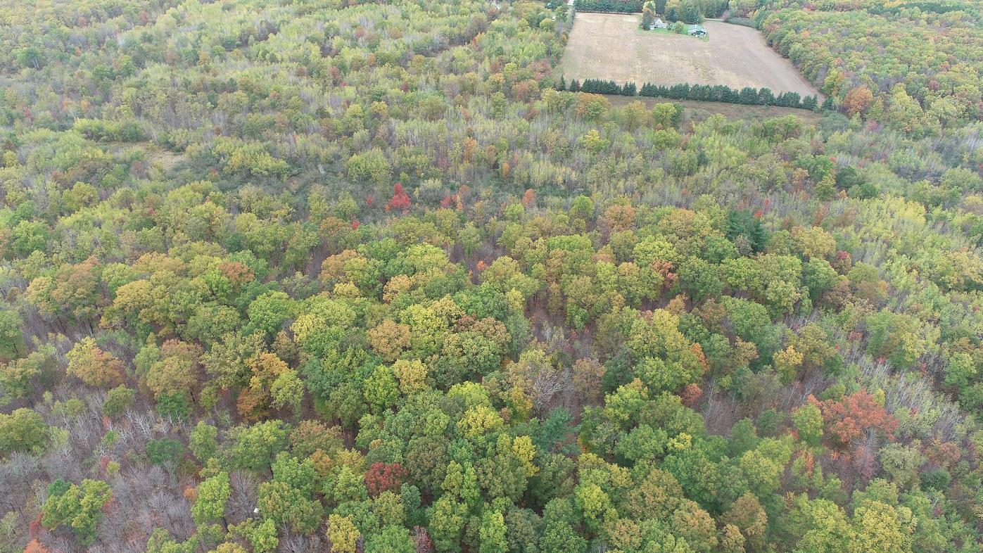 DJI_0011.JPG