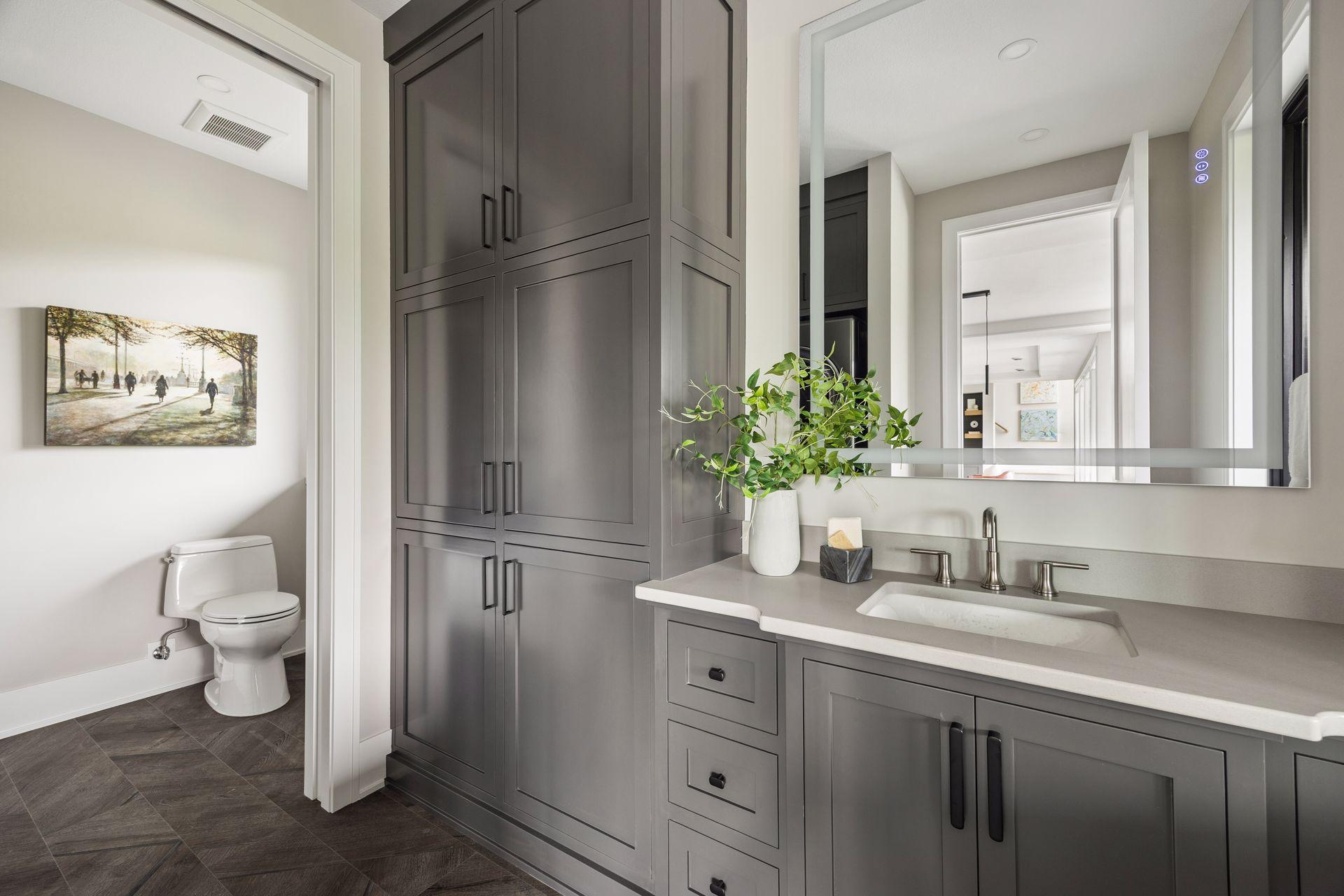 Lower Level Full Bathroom and Laundry Room
