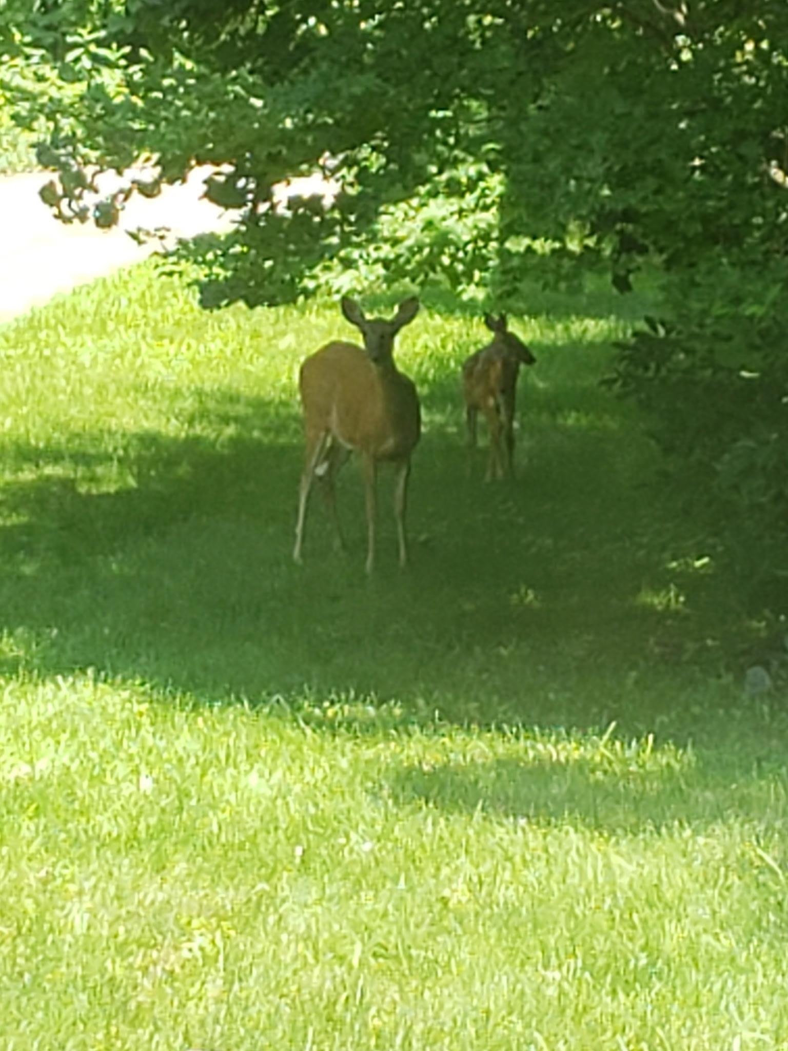 Enjoy an abundance of wildlife!
