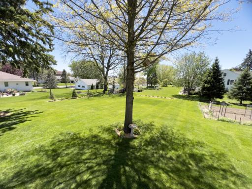 803 S Pine Street, Caledonia, MN 55921