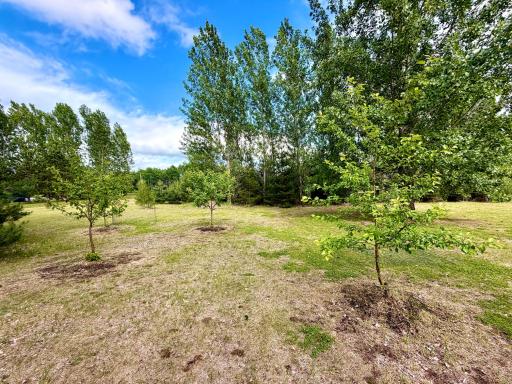 8504 Tranquility Lane NW, Bemidji, MN 56601
